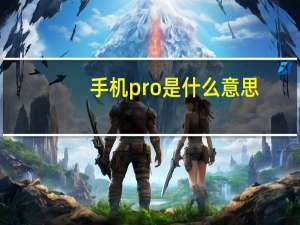 手机pro是什么意思