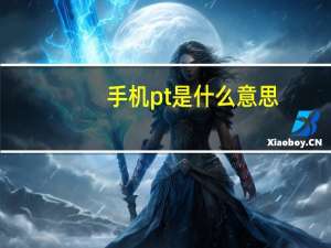 手机pt是什么意思