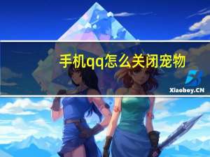 手机qq怎么关闭宠物