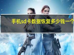 手机sd卡数据恢复多少钱一个（手机sd卡数据恢复）