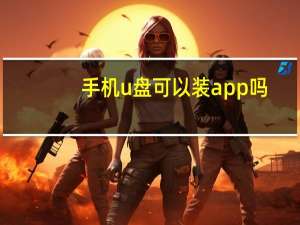 手机u盘可以装app吗（手机app能装在u盘吗）