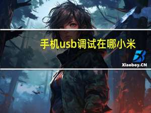 手机usb调试在哪小米（手机usb调试在哪）