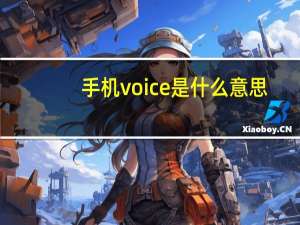 手机voice是什么意思