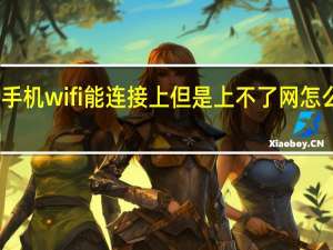 手机wifi能连接上但是上不了网怎么回事
