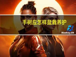 手树应怎样盆栽养护