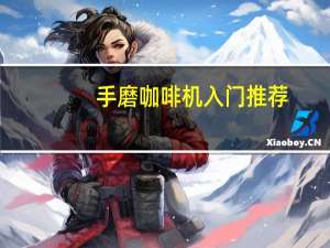 手磨咖啡机入门推荐