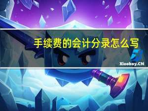 手续费的会计分录怎么写