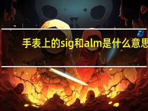 手表上的sig和alm是什么意思