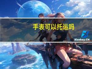 手表可以托运吗