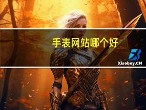 手表网站哪个好（手表网购网站）