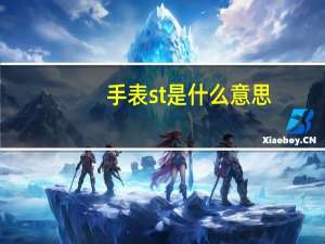 手表st是什么意思（sst是什么意思）