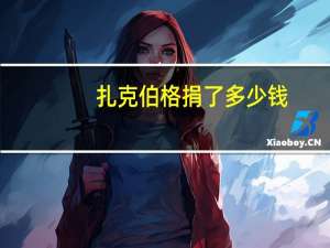 扎克伯格捐了多少钱