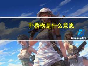 扑楞楞是什么意思
