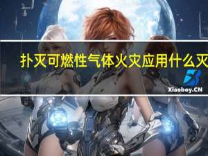 扑灭可燃性气体火灾应用什么灭火