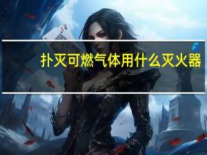 扑灭可燃气体用什么灭火器