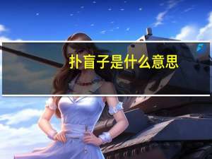 扑盲子是什么意思