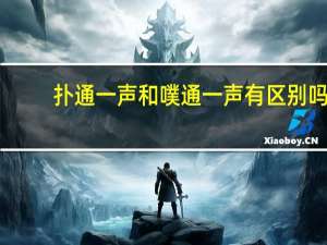 扑通一声和噗通一声有区别吗