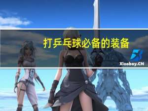 打乒乓球必备的装备