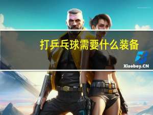 打乒乓球需要什么装备