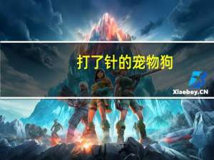 打了针的宠物狗