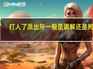 打人了派出所一般是调解还是拘留