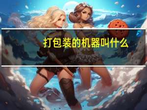 打包装的机器叫什么