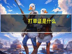 打单证是什么