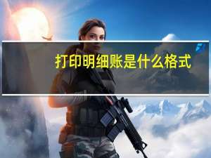 打印明细账是什么格式