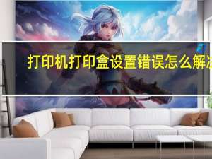 打印机打印盒设置错误怎么解决（打印盒设置错误）