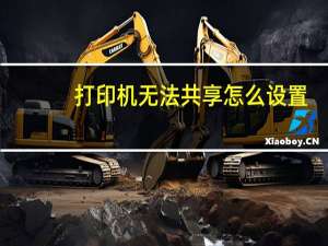 打印机无法共享怎么设置（打印机无法共享）