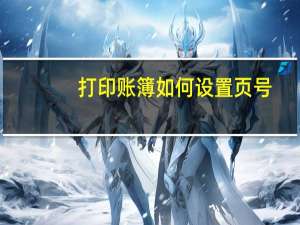 打印账簿如何设置页号