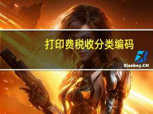 打印费税收分类编码