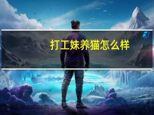 打工妹养猫怎么样