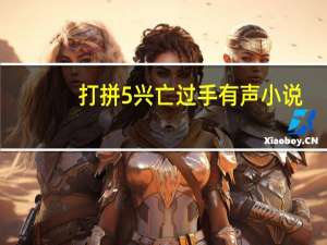 打拼5兴亡过手有声小说（打拼5）
