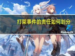 打架事件的责任如何划分