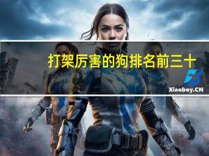 打架厉害的狗排名前三十
