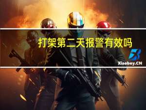 打架第二天报警有效吗