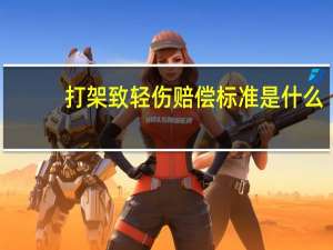 打架致轻伤赔偿标准是什么