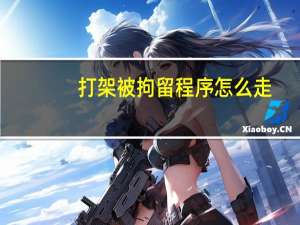 打架被拘留程序怎么走