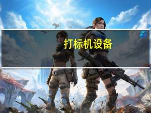 打标机设备（关于打标机设备的介绍）
