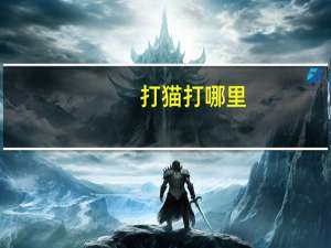 打猫打哪里