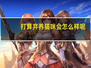 打算弃养猫咪会怎么样呢