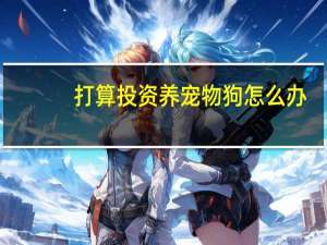 打算投资养宠物狗怎么办
