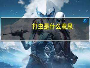 打虫是什么意思