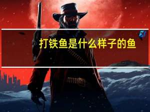 打铁鱼是什么样子的鱼（打铁鱼是什么样子的）