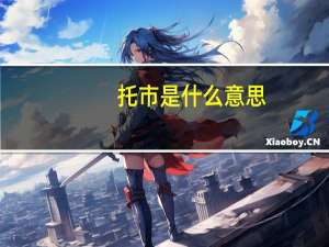 托市是什么意思