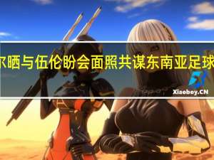 托希尔晒与伍伦盼会面照 共谋东南亚足球发展新蓝图
