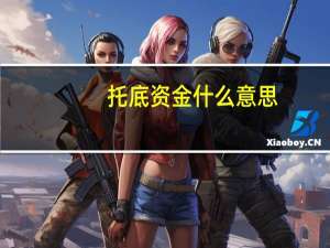 托底资金什么意思