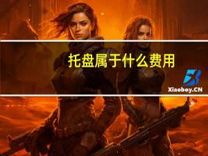 托盘属于什么费用