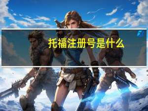托福注册号是什么